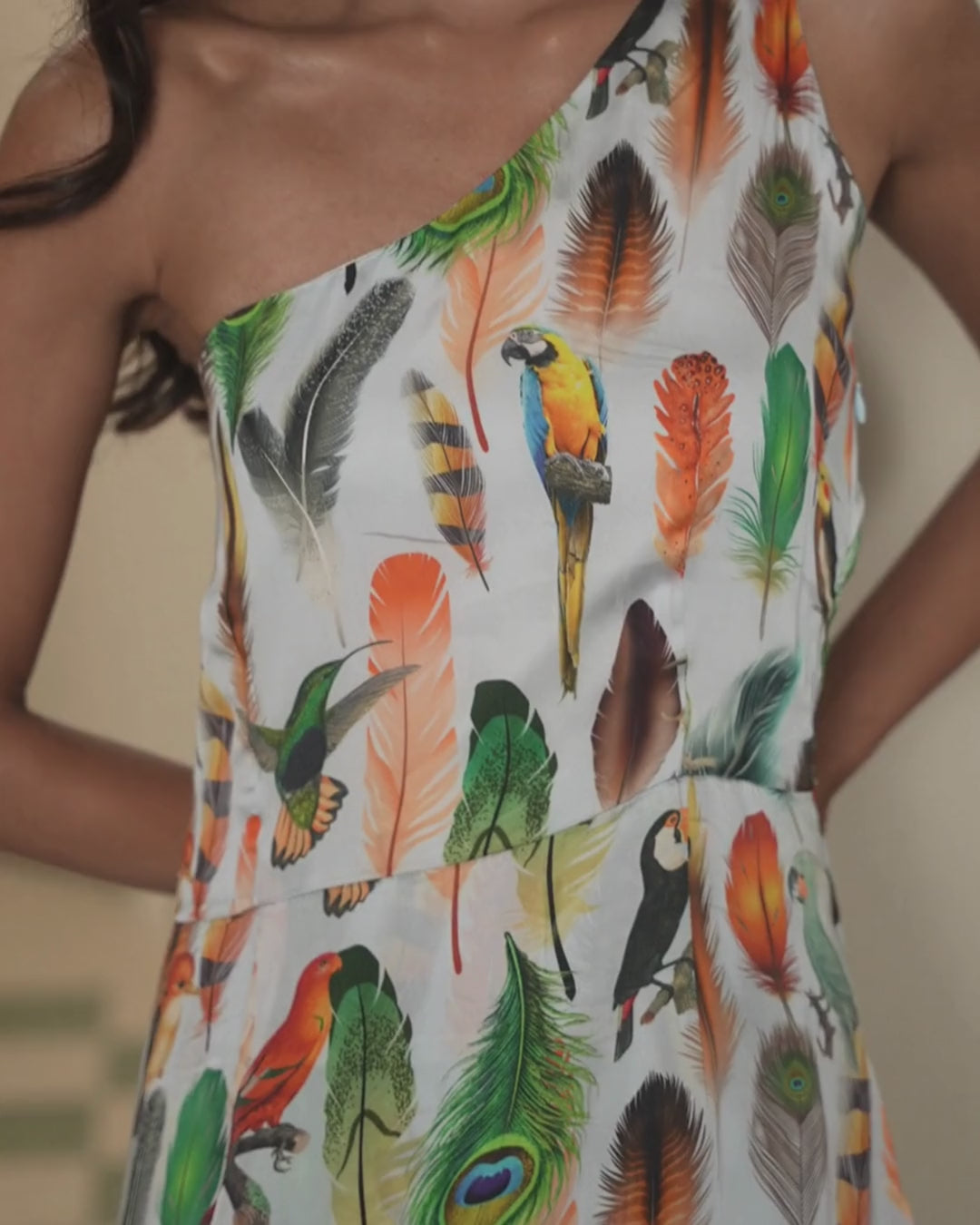 Plume Asymmetric Dress
